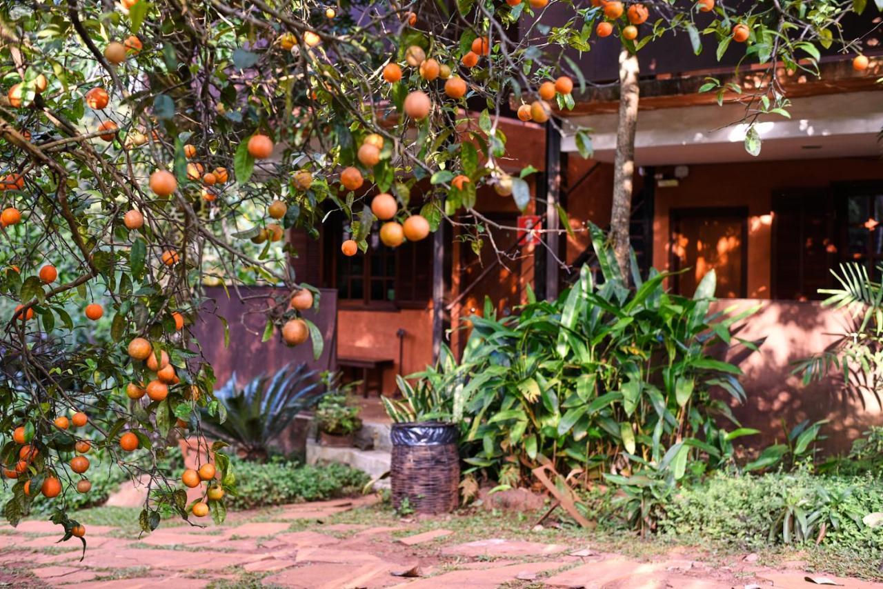 Tio Isolda Artes & Hospedaria Casa Branca Kültér fotó